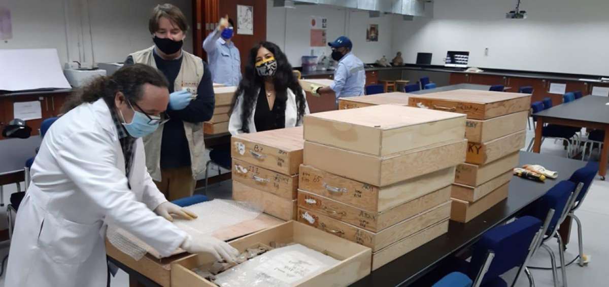 Las piezas fueron regresadas a Ecuador luego de que el arque&oacute;logo Scott Raymond, de la Universidad de Calgury, en Canad&aacute;, procediera a estudiarlas.