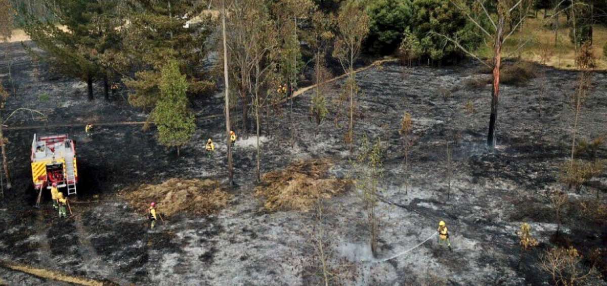 Controlan incendio en Parque Metropolitano Guanguiltagua