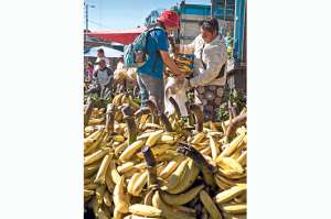 En el Mercado Mayorista ya identifican a los voluntarios del Banco de Alimentos por sus camisetas azules. Foto: John Guevara / El Tel&eacute;grafo