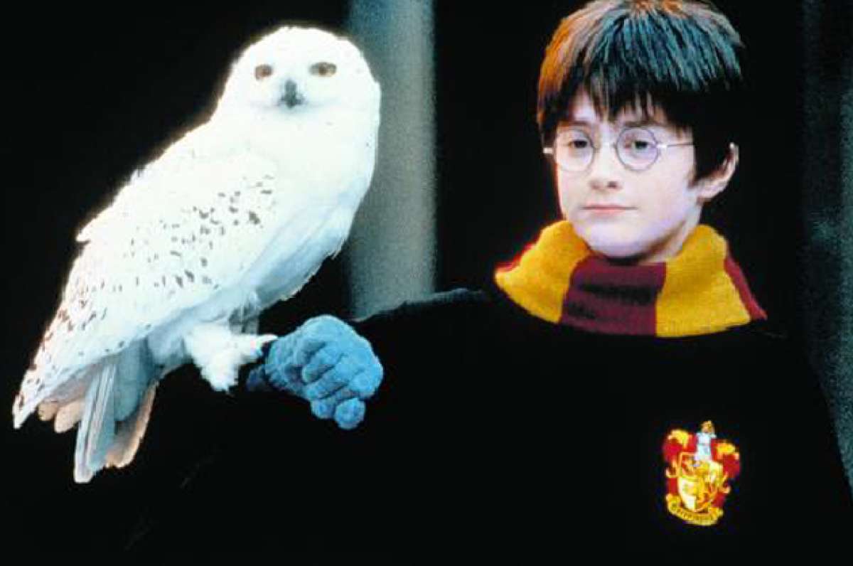 La historia de Harry Potter est&aacute; conformada por una saga de siete libros, traducidos a m&aacute;s de 65 idiomas. Foto: Leonardo Boix
