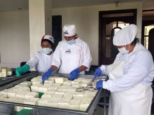 15 mil litros de leche se producen al d&iacute;a, materia prima con la que se elaboran 250 quesos frescos.