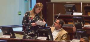 La asamble&iacute;sta impulsora de este cuerpo legal, Lourdes Cuesta, espera que la Corte Constitucional d&eacute; paso a la ley.