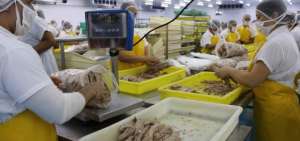 Cerca del 60% de las exportaciones de at&uacute;n de Ecuador ir&aacute; hacia la UE
