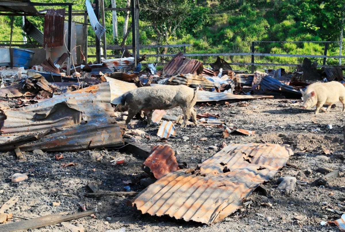 Predio destruido durante una operaci&oacute;n militar en el Recinto San Mar&iacute;n, zona rural de Lago Agrio.