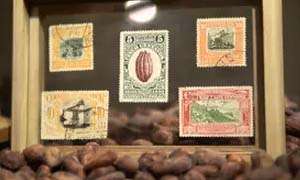 El Museo de Sitio Inti&ntilde;an rescata la historia del Cacao 