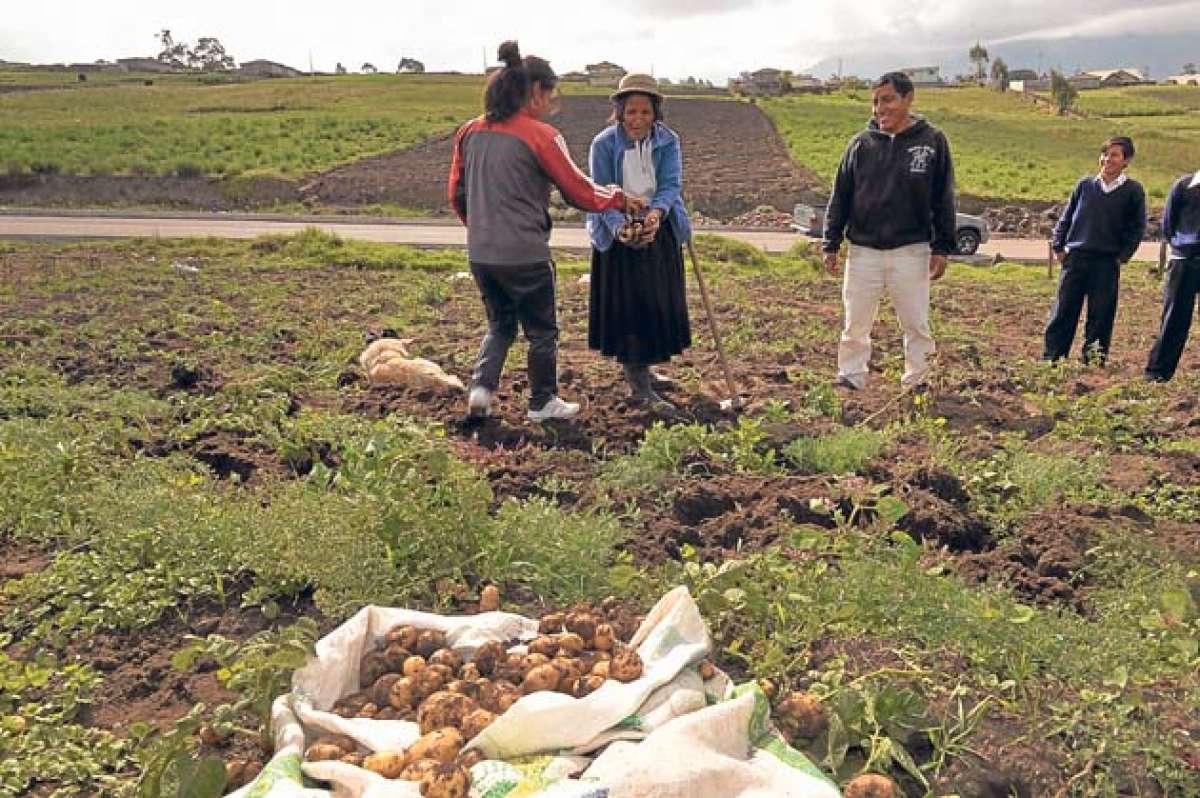 Los habitantes de las comunidades pertenecientes a Colta ya no  cargar&aacute;n agua en baldes, porque ahora les llegar&aacute; a sus domicilios. Foto: Elizabeth Maggi / El Tel&eacute;grafo