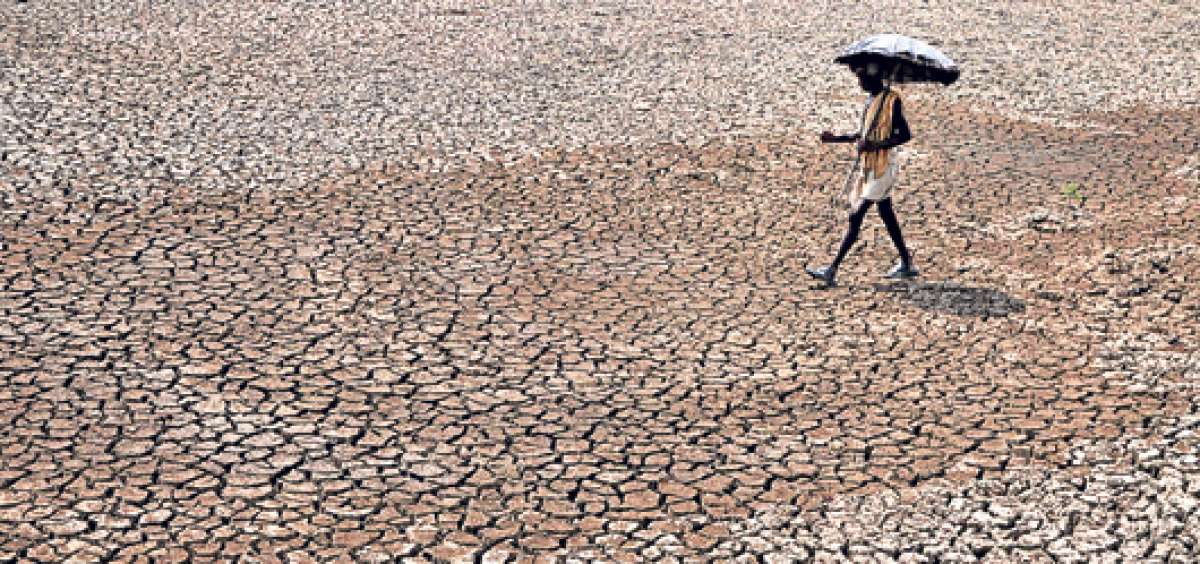 Muchas ciudades rurales de la India, como Bhubaneswar, sufren sequ&iacute;as, lo que ha afectado la agricultura y la dotaci&oacute;n de agua limpia a la poblaci&oacute;n. Foto: AFP