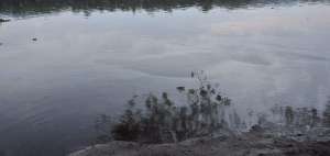 Balsasud calcula que de 25 a 50 galones de bunker se derramaron en el r&iacute;o Daule