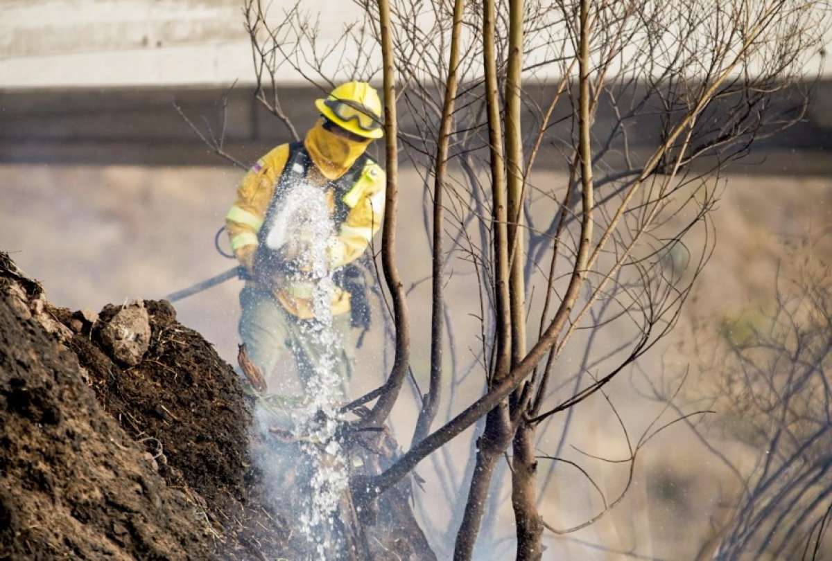 Así está la situación de los incendios forestales en Ecuador por la crisis de agua.