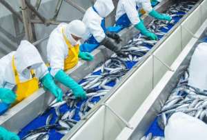 La iniciativa internacional promover&aacute; pr&aacute;cticas de pesca sostenible en Ecuador.