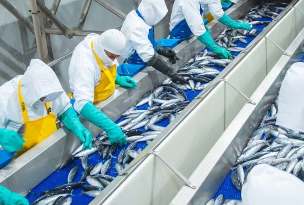 La iniciativa internacional promover&aacute; pr&aacute;cticas de pesca sostenible en Ecuador.