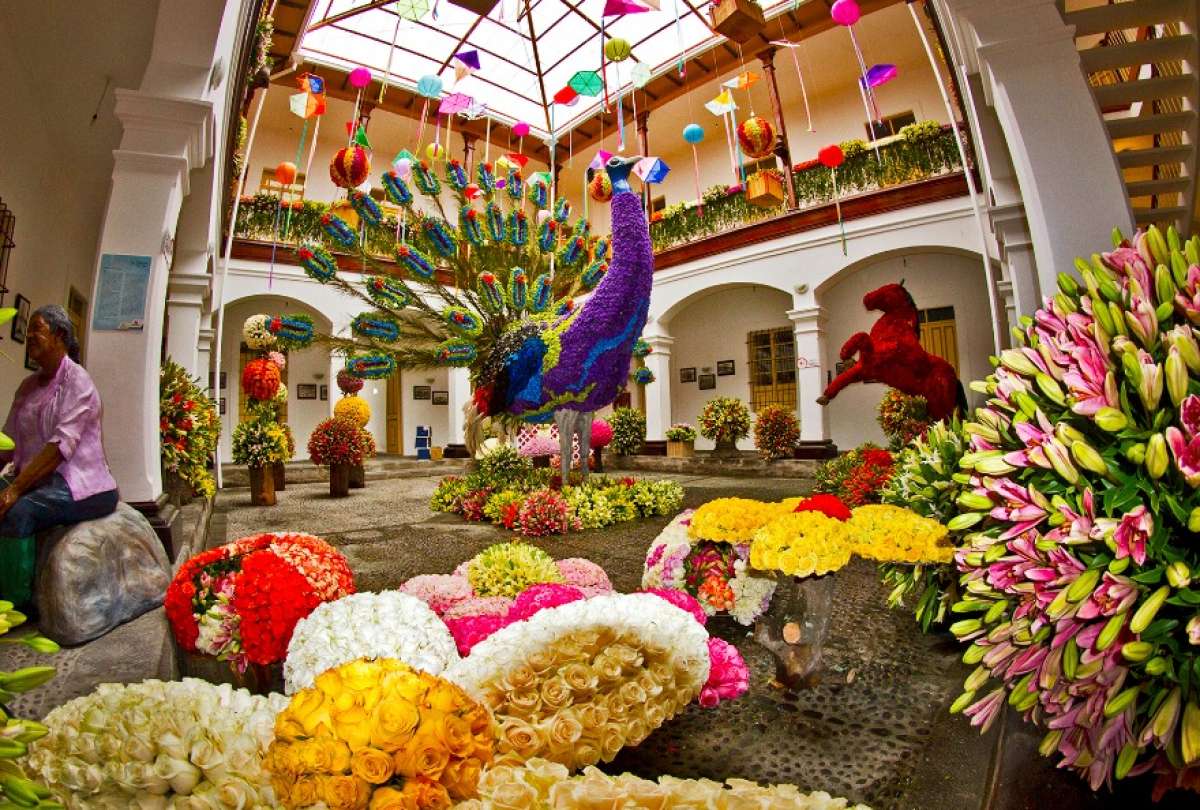 El Gobierno Nacional impulsa la participaci&oacute;n de cerca de 50 micro, peque&ntilde;as y medianas empresas (mipymes) de la provincia, con el objetivo de fortalecer su presencia comercial y ampliar sus oportunidades de negocio en la Fiesta de la Fruta y las Flores.