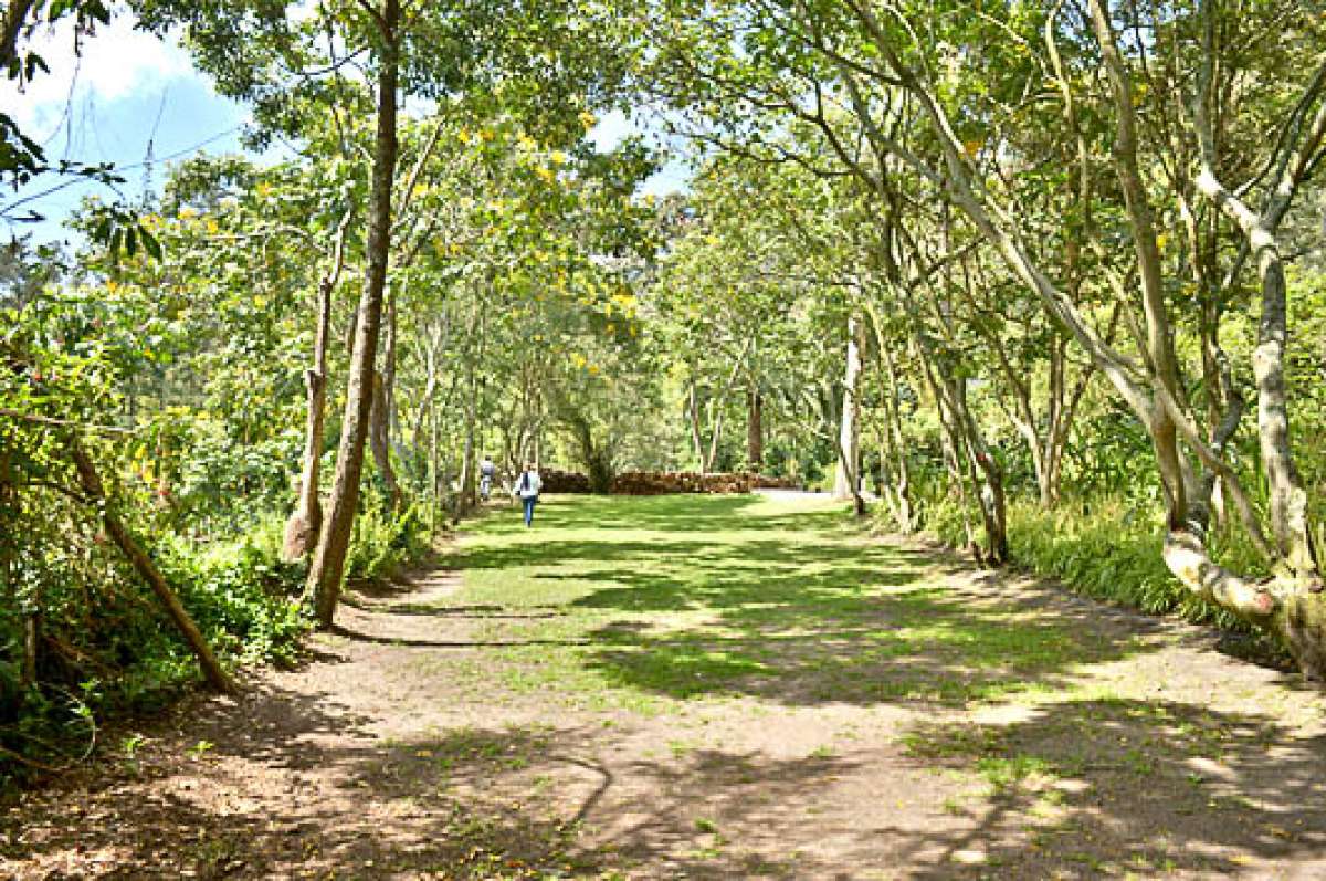 Los &lsquo;oasis&rsquo; urbanos nos regalan sosiego
