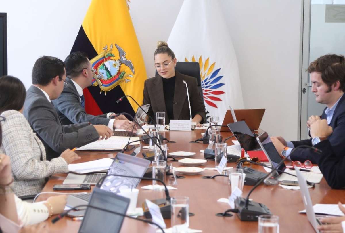 Rosa Torres, asamble&iacute;sta de ADN, se&ntilde;al&oacute; sobre una campa&ntilde;a de &ldquo;trolls pagados por el corre&iacute;smo&rdquo;. 