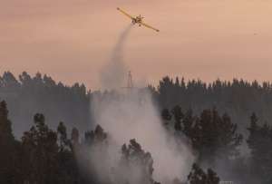 Bomberos y equipos de emergencia combaten incendios activos en las regiones de &Ntilde;uble y Biob&iacute;o.