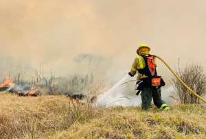  Conozca el listado de planteles educativos que laborarán en modalidad no presencial por los incendios forestales.