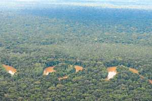 El centro de monitoreo del Yasun&iacute; debe velar por las condiciones ambientales y los grupos no contactados. Foto. Cortes&iacute;a 