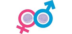 Las diferencias del cerebro masculino y femenino generan controversias