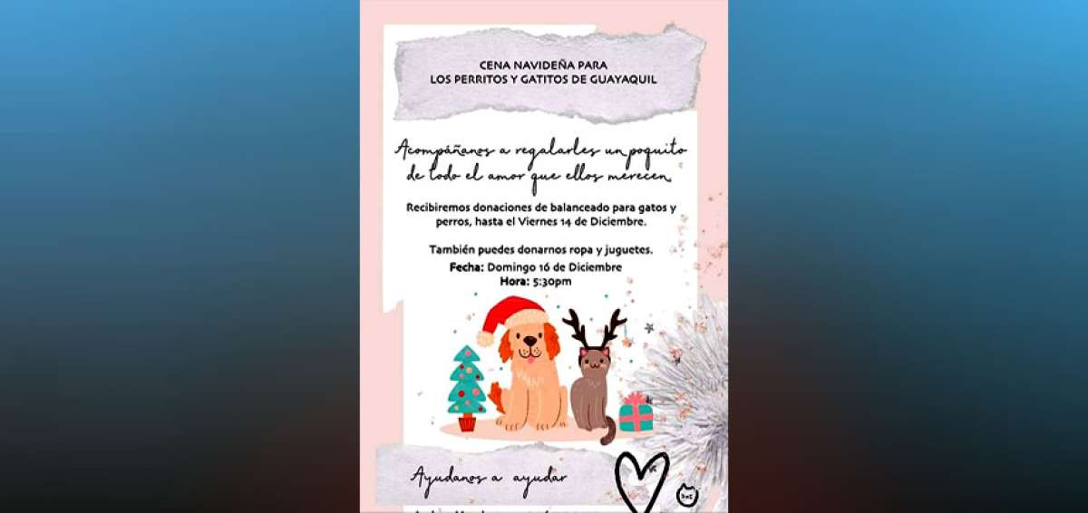 Los organizadores solicitan donaci&oacute;n de comida para llegar a m&aacute;s animalitos.