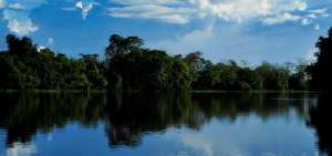 Siete pa&iacute;ses suramericanos analizan estrategias para la conservaci&oacute;n para la Amazon&iacute;a.
