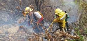 Personal bomberil se adentra en el cerro para combatir las llamas desde varios frentes. 
