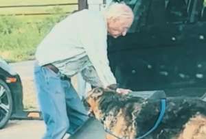 El video de un anciano que ayuda a su perro se hizo viral en las redes sociales. 