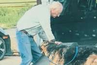 El video de un anciano que ayuda a su perro se hizo viral en las redes sociales. 