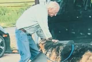 El video de un anciano que ayuda a su perro se hizo viral en las redes sociales. 