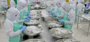 Desde antes del covid-19, las exportadoras cumplen con normas basadas en el Codex Alimentarios y lineamientos INEN, FDA, entre otros. 