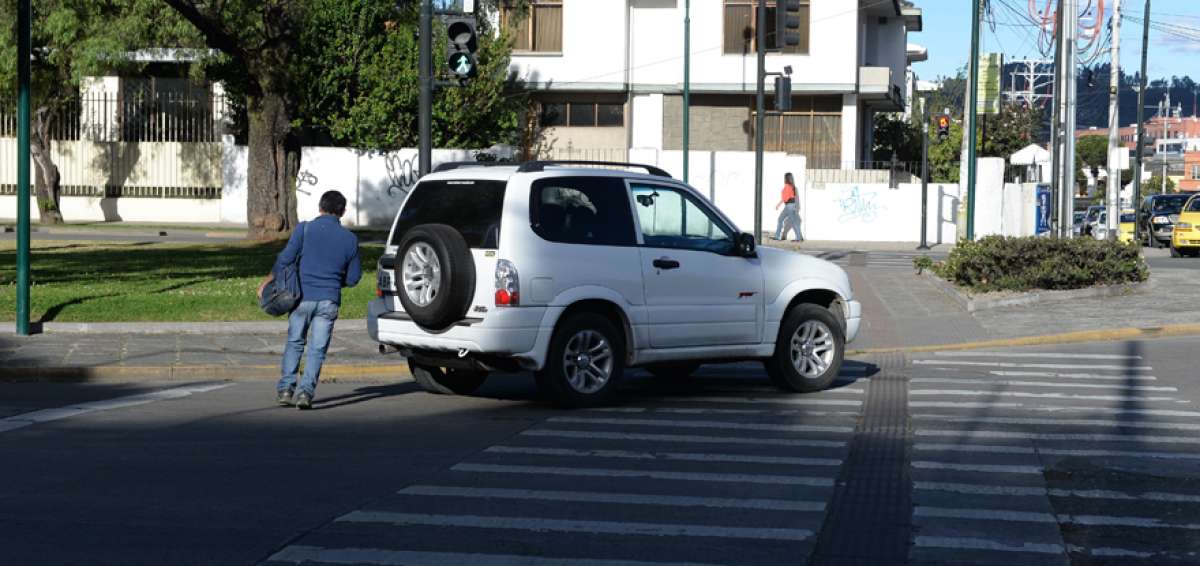 La l&iacute;nea cebra es la m&aacute;s irrespetada por los conductores cuencanos. Peatones no reciben la preferencia de cruce. 