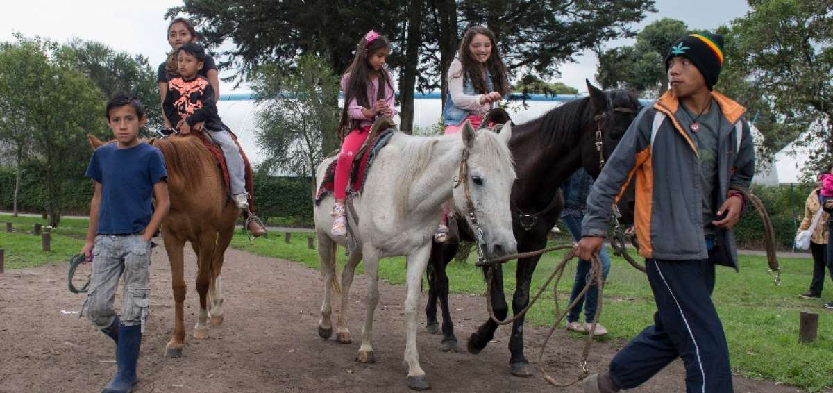 Los paseos a caballo se pueden realizar todos los fines de semana y feriados de 09:00 a 18:00