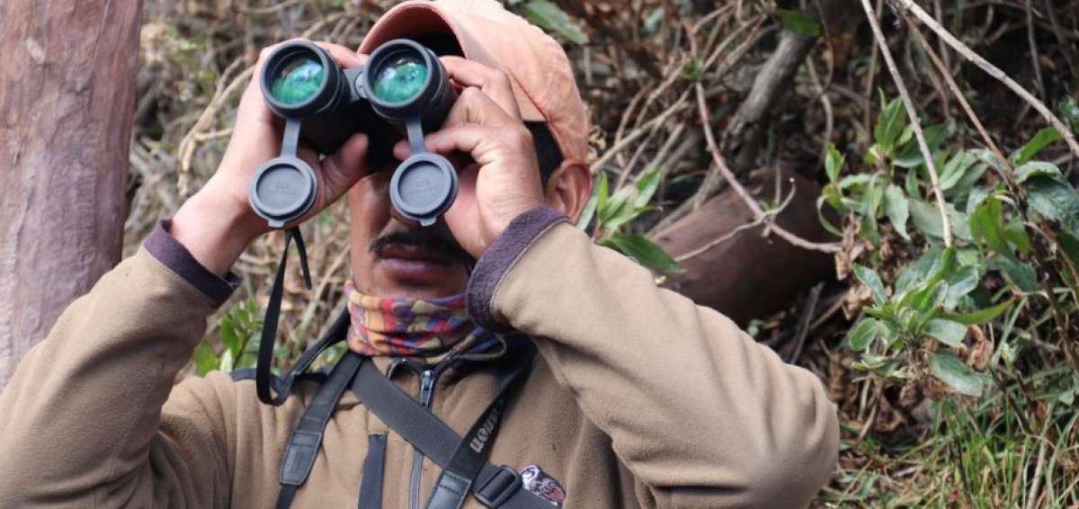 500 observadores  auscultar&aacute;n aproximadamente 180 sitios en 10 &aacute;reas protegidas.