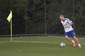 Rodrigo Palacio se lesion&oacute; en el amistoso ante Trinidad y Tobago el pasado 4 junio. Foto: AFP