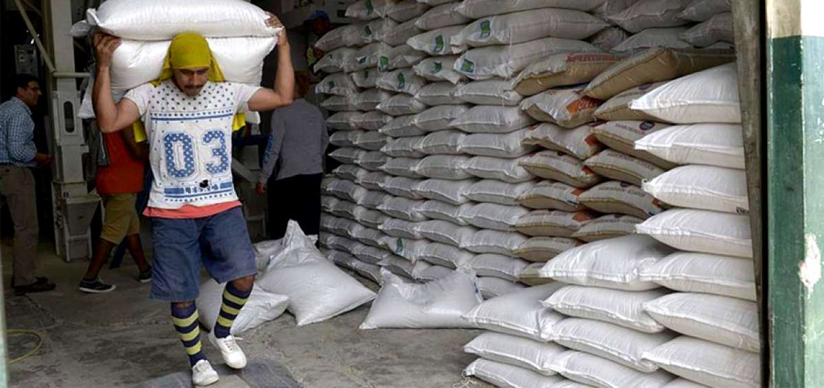 El costo de la saca, con todos los insumos que requiere su producci&oacute;n, es de $ 30.