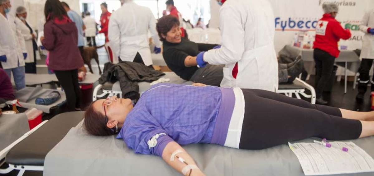 Durante la feria de inauguraci&oacute;n de la semana conmemorativa de la Cruz Roja nacional, los asistentes donaron sangre y disfrutaron de un concierto.