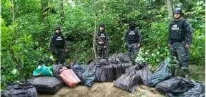 La droga hallada en Cabo Pasado, Manab&iacute;, estaba enterrada a una distancia de 250 metros de una playa.