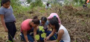 En Guayaquil la jornada se realiz&oacute; en cerro Para&iacute;so.