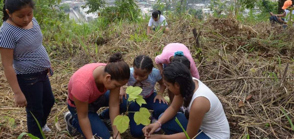 En Guayaquil la jornada se realiz&oacute; en cerro Para&iacute;so.