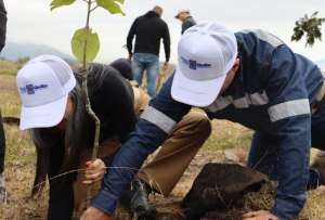 Las autoridades prevén iniciar la siembra durante la temporada de lluvias.