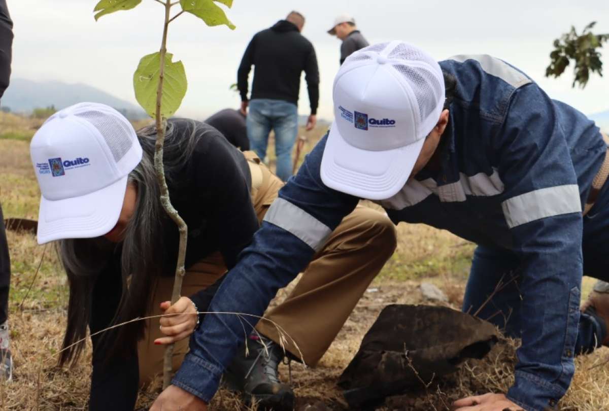 Las autoridades prevén iniciar la siembra durante la temporada de lluvias.