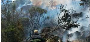 2 incendios forestales activos en Carchi
