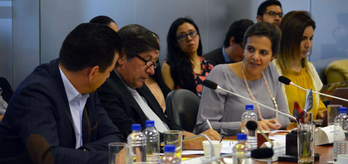 La ministra de Gobierno, Mar&iacute;a Paula Romo, compareci&oacute; ante la comisi&oacute;n de la Asamblea Nacional que investiga lo acontecido en el paro nacional de inicios de octubre de 2019.