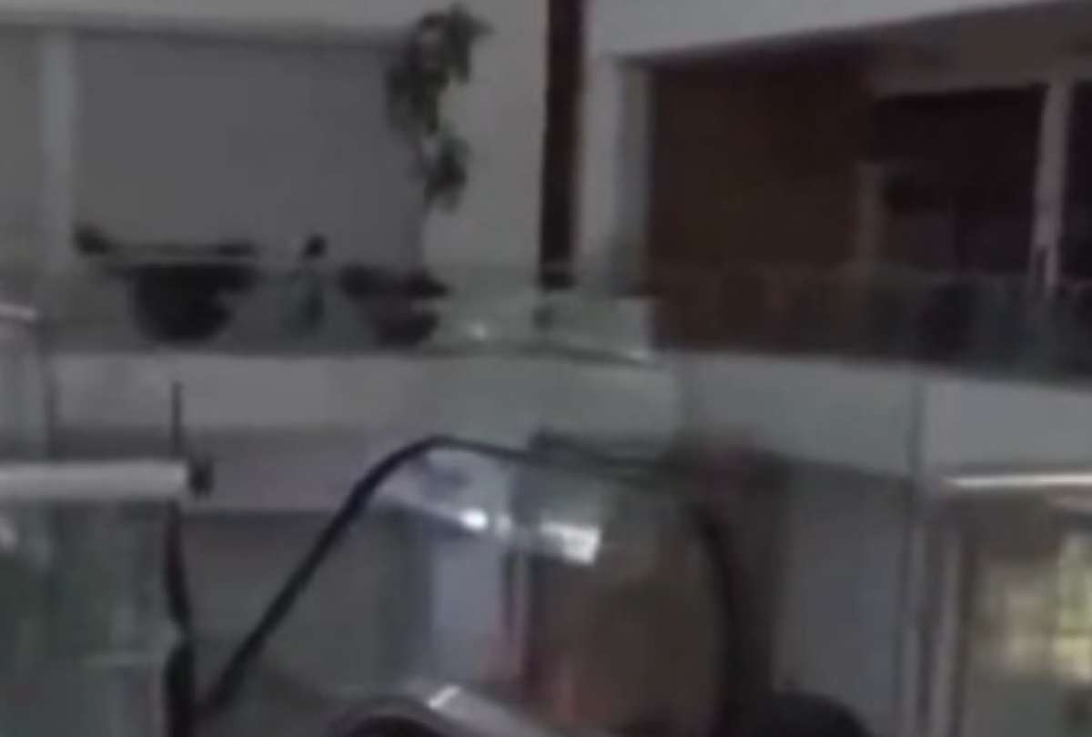 C&aacute;maras captan un supuesto fantasma en un centro comercial.