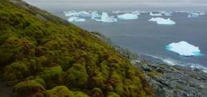 La cantidad de hielo decrece a consecuencia del incremento de las temperaturas.  