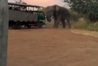 Este elefante no se acercó para ser &#039;gracioso&#039; con los turistas de este safari.