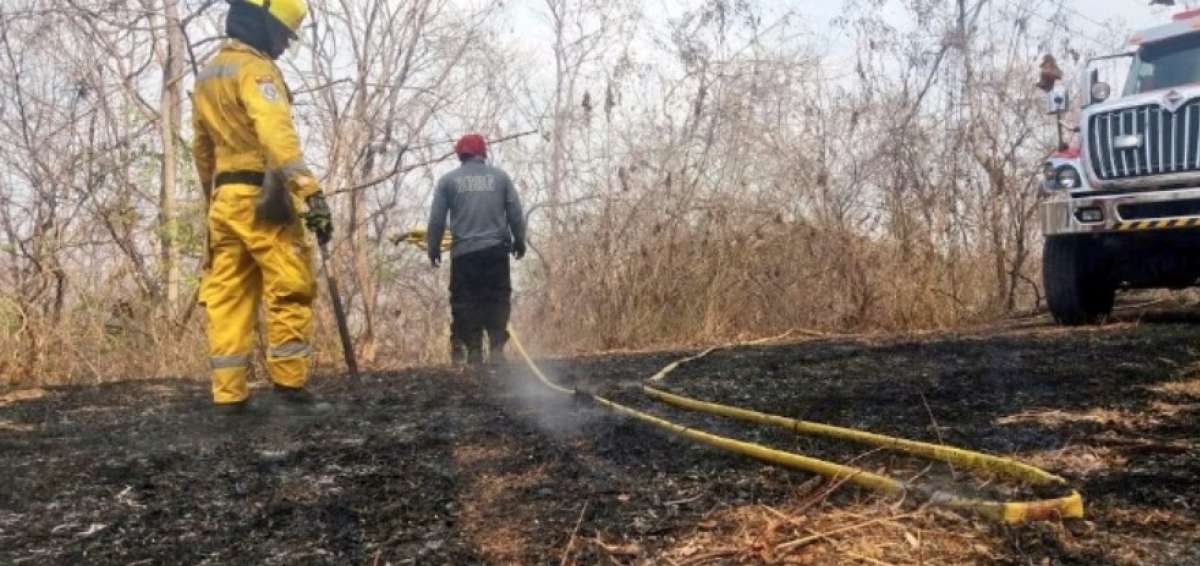 30 bomberos combatieron incendio en cerro de Capeira