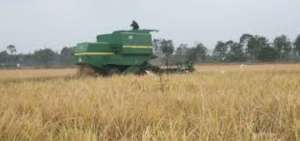 Las tarifas el&eacute;ctricas para el sector agropecuario ser&aacute;n revisadas, seg&uacute;n el gobierno.