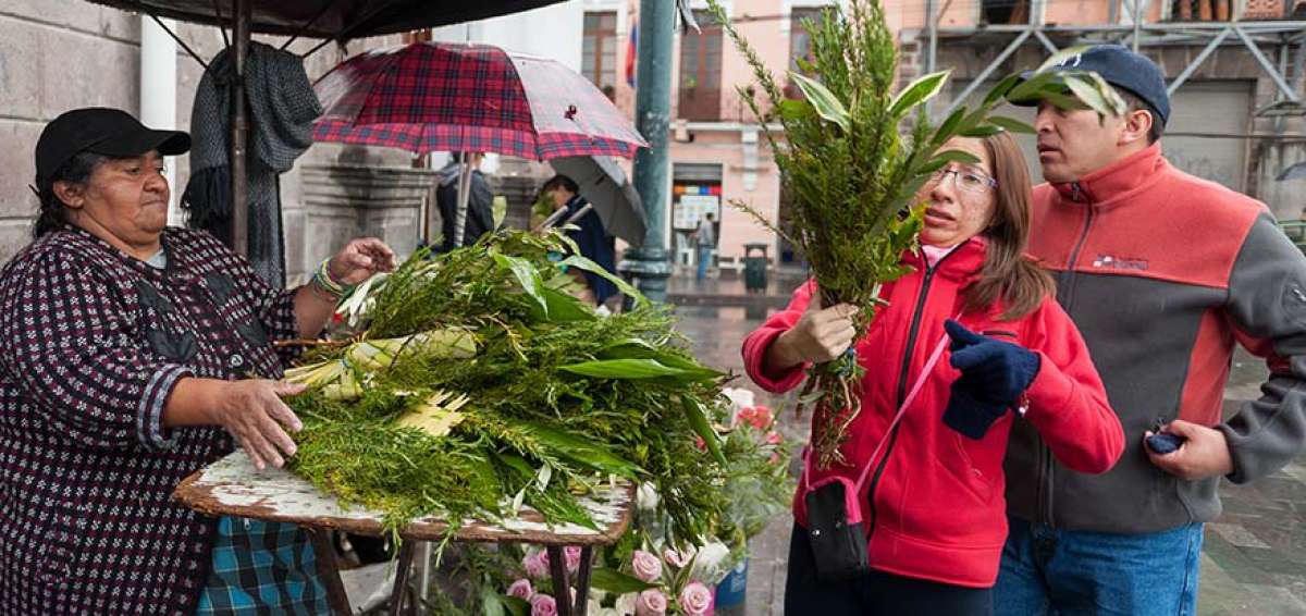 El romero y las flores son alternativas para utilizar en la celebraci&oacute;n eucar&iacute;stica del Domingo de Ramos, en el inicio de la Semana Mayor cat&oacute;lica.