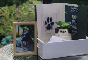 La cremación de mascotas es una prática que gana terreno en Quito.