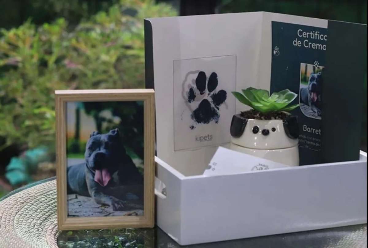 La cremación de mascotas es una prática que gana terreno en Quito.